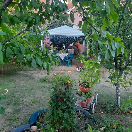 Apartman Drina Berilovac Bagian luar foto