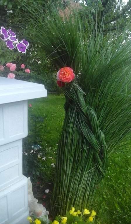 Apartman Drina Berilovac Bagian luar foto
