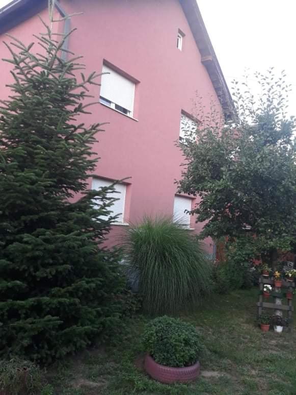 Apartman Drina Berilovac Bagian luar foto